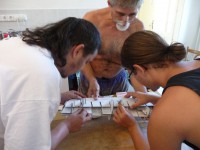 /album/kepgaleria-nagycsepely-ii-/p1190076-jpg/